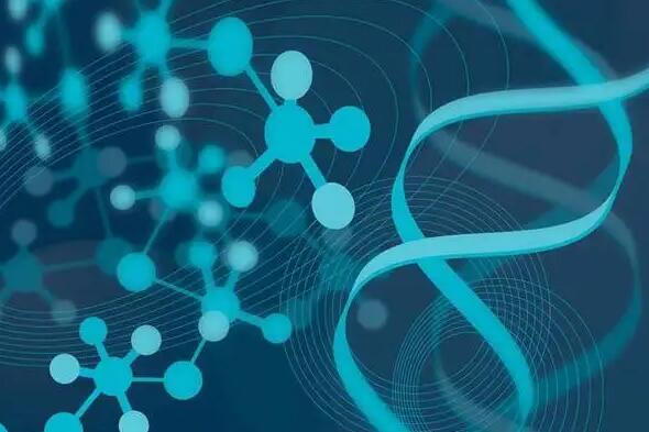 西安試管包成功 西安試管嬰兒費(fèi)用多少錢,要做幾次? ‘生男孩女孩特征準(zhǔn)確率’