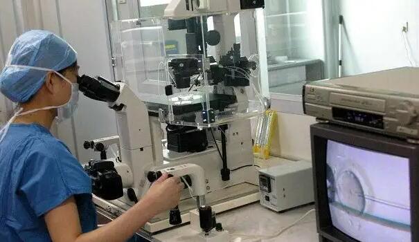 泰國試管嬰兒龍鳳胎能一次成功嗎？