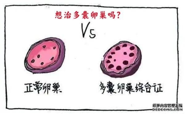 如何知道自己有沒有hpv!2023最新癥狀、檢查、自檢準確對比