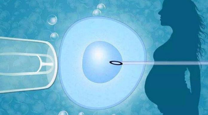 青島哪個醫院可以做供卵試管 青島試管移植成功率高醫院 ‘看男孩女孩b超圖片’