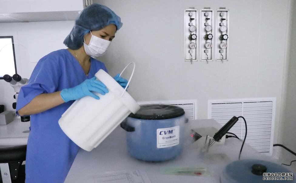 深圳北大試管流程費用 2022年深圳供卵試管嬰兒醫院排名 ‘孕囊40X20X20是男是女’