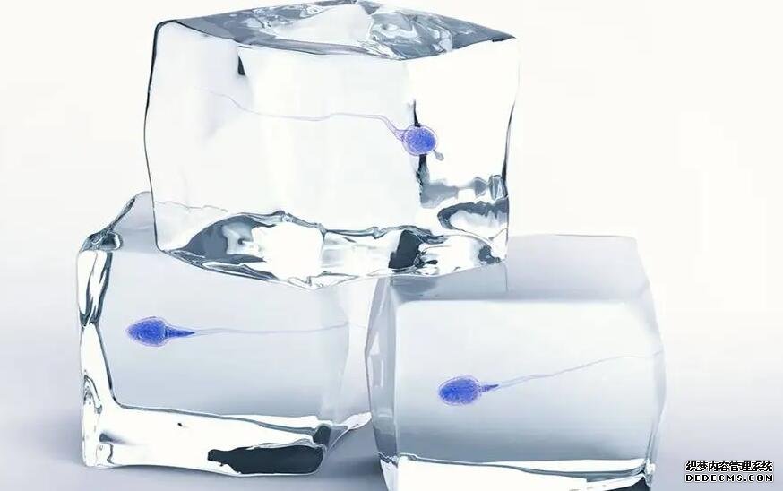 寧波看卵巢早衰哪個醫生好 最新寧波哪家試管醫院成功率最高 ‘六周胎兒b超圖片看男女’