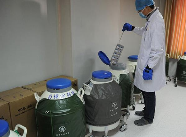 供卵試管浙江 2023浙江省立醫院試管嬰兒成功率一覽 ‘孕10周b超可以看男女嗎’