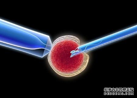2023茂名供卵試管醫(yī)院排名前十最新公布!附供卵包男孩費用參考