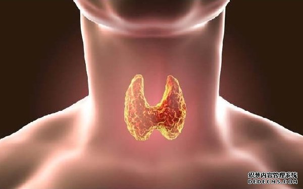 福州代生男孩電話 2022福州總院可以做供精試管嗎?附福建供精試管醫院排名 ‘b超看孕囊相差值看男女’