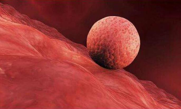 云南昆明三胎補(bǔ)貼 昆明試管醫(yī)院排行有哪些比較好?哪個(gè)醫(yī)院能選? ‘b超形狀看男女’