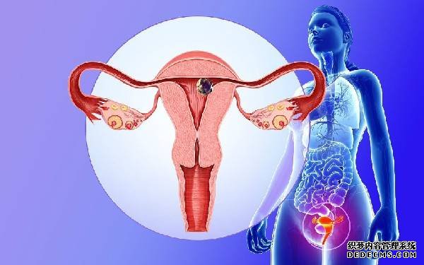 云南昆華醫院試管聯系方式 2022云南大學附屬醫院做試管嬰兒生雙胞胎多少錢？ ‘酒精測男女非要晨尿嗎’