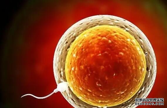 肥胖會引起內分泌失調，這也是為什么生殖科醫生讓減肥的原因