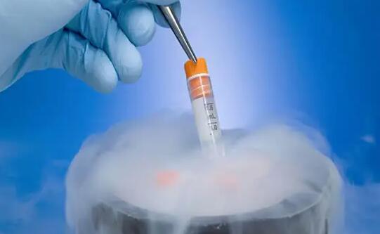 西安試管價格表 022年西安能試管包生男孩的醫(yī)院名單,2家三代試管醫(yī)院可供選擇 ‘懷女兒跟懷兒子b超區(qū)別’