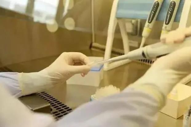 珠海供卵試管 2023珠海試管嬰兒醫院推薦，哪家醫院試管成功率最高？ ‘懷孕15周雙頂徑2.9是男孩女孩’