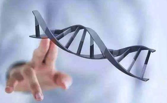 北京三代試管費(fèi)用 北京家圓醫(yī)院做試管嬰兒怎么樣? ‘13周nt男孩女孩區(qū)別’