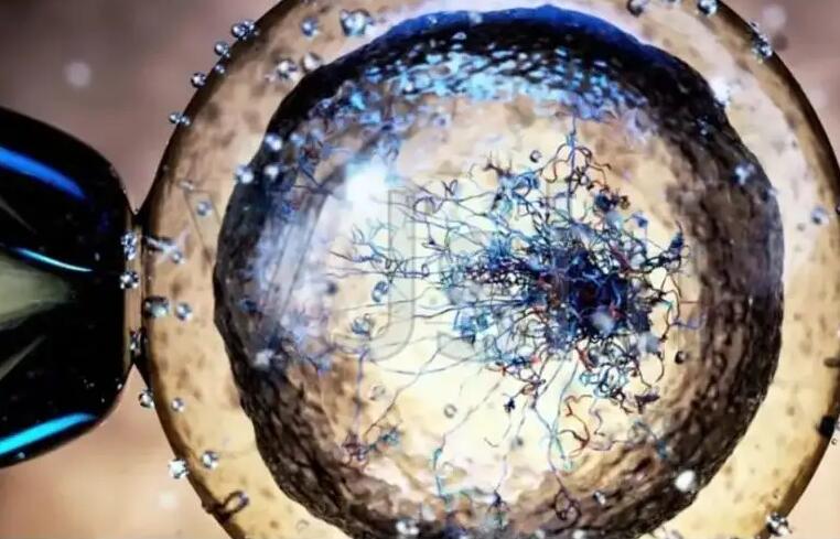 珠海私人醫院做試管選男孩BF3,怎樣選擇適合自己的珠海試管嬰兒醫院?