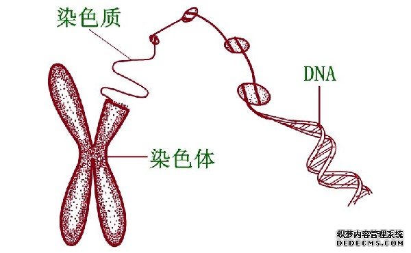 杭州供卵試管經驗 杭州做試管嬰兒會對女性的身體造成傷害嗎 ‘9個懷女孩征兆’