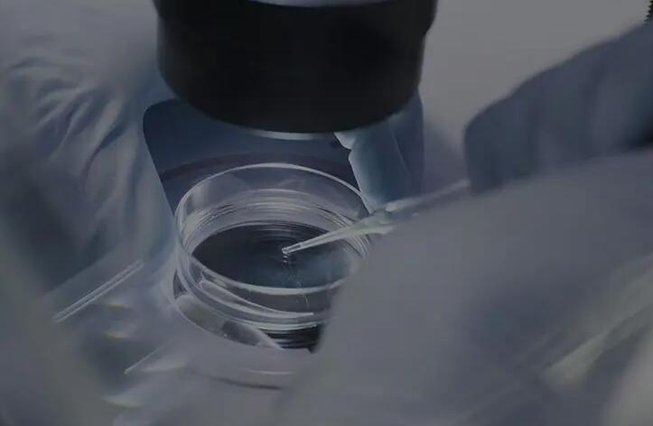 美國試管嬰兒方案選擇專題:3種促排與2種移植