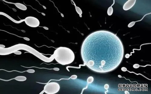 武漢借卵試管資訊 武漢試管嬰兒醫院排行榜 ‘22*17*13的孕囊是男孩女孩’