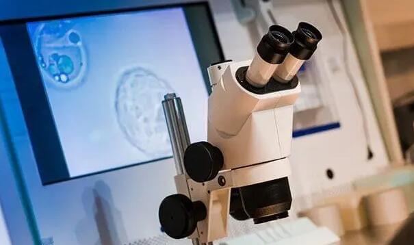 深圳試管的醫(yī)院 港大深圳醫(yī)院試管嬰兒費(fèi)用 ‘b超看屁股查男女準(zhǔn)嗎’