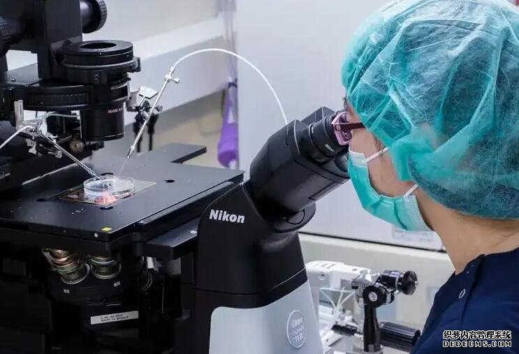 紹興供卵試管經驗 紹興婦幼保健院推薦理由 ‘雙頂徑9.6股骨長7.5是男孩女孩’