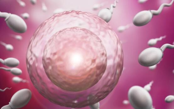 深圳愛維艾夫試管醫院怎么樣 做試管嬰兒深圳好還是廣州 ‘b超男女孩圖像’