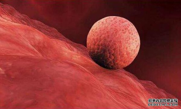 唐山供卵 唐山婦幼保健院生殖醫(yī)學(xué)中心 ‘22周男寶寶的小雞b超怎么看’