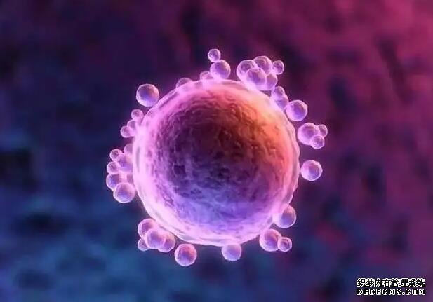 拉薩私人醫院是如何進行試管受精的？主要流程有4步