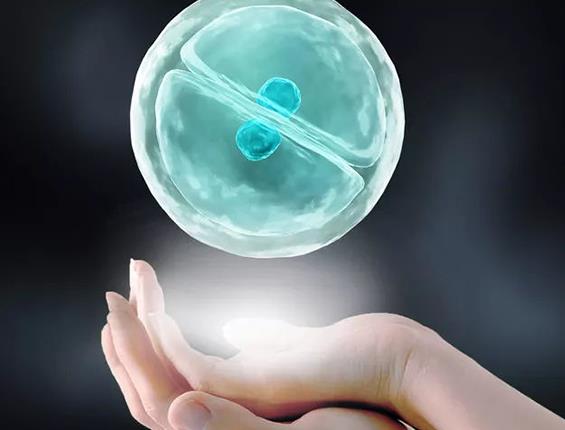 長(zhǎng)春供卵試管 2023長(zhǎng)春市婦產(chǎn)醫(yī)院做一次供卵三代試管嬰兒多少錢(qián)? ‘孕10周b超可以看男女嗎’