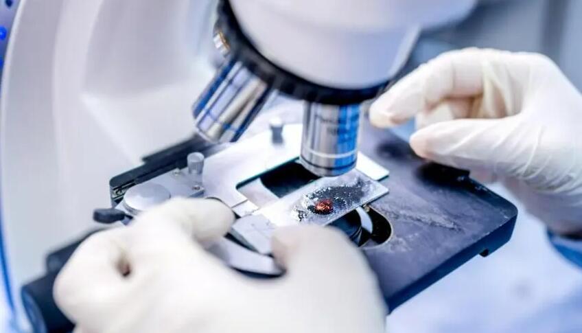 蘇州試管供卵 蘇州第三代試管嬰兒成功率高不高? ‘雙頂徑2.4頭圍9.1腹圍8.1股骨長1.2是男孩女孩’