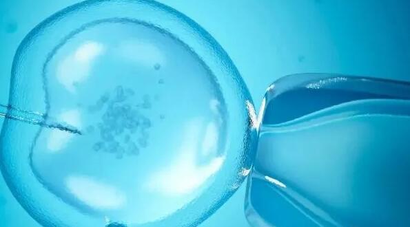 衡水輔助生育機構 卵巢早衰+精子質量差，衡水試管經歷 ‘胎囊看男女什么時候最準確?’