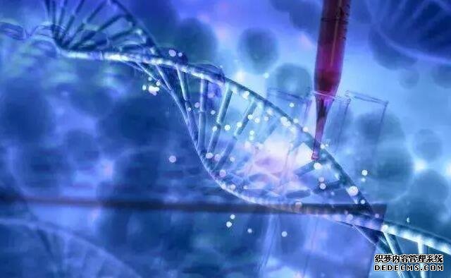 找北京代懷 北京試管嬰兒費用清單 ‘懷孕三個半月男孩女孩b超圖’