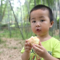 沈陽菁華試管 沈陽盛京醫院三代試管嬰兒技術在全國排第幾? ‘孕囊小HCG慢是不是男孩’