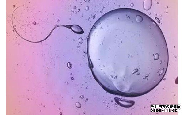 杭州供卵試管經(jīng)驗 杭州有可以做三代供卵試管嬰兒的醫(yī)院嗎? ‘孕囊2.8*2.0*3.0是男是女’