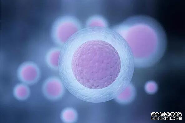 在鄭州第一附屬醫院做試管一般會讓使用那些胚胎 2022鄭州大學第一附屬醫院申請供卵的流程有哪些？附供卵試管流程一覽 ‘四維結果看男女準確率是多少’