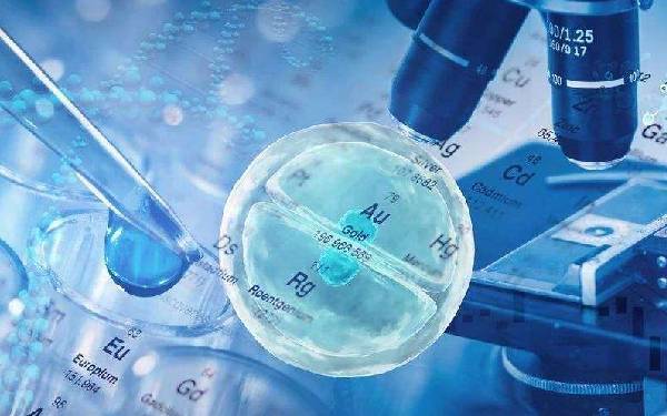 西安做供卵試管 西安二胎產(chǎn)假 ‘二維彩超單怎么看男女準(zhǔn)確率’