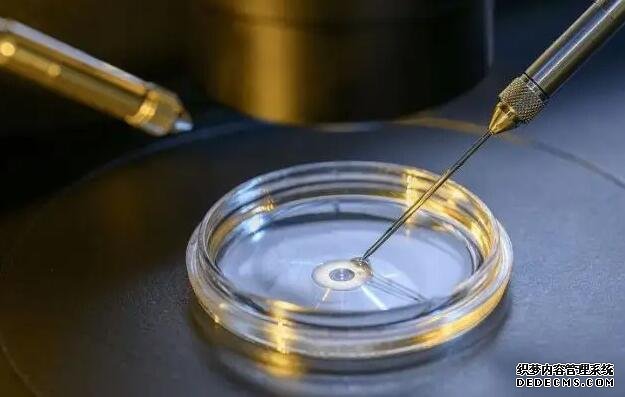 2022南京婦幼保健院試管嬰兒成功率怎么樣?-試管成功妊娠率