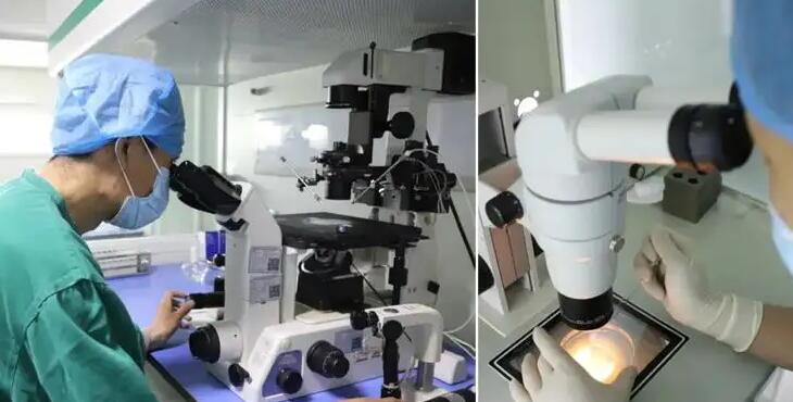 紹興試管供卵 2023紹興市婦幼保健院試管嬰兒費用： ‘b超男孩圖像一個山字’