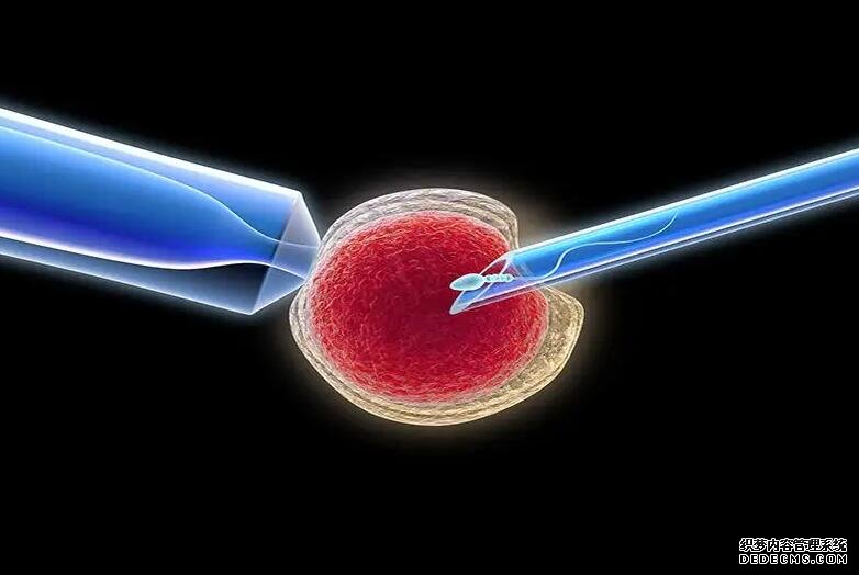 在西安捐卵 2022西安失獨家庭再生育最新政策 ‘營口伊人26周四維看男女準么’