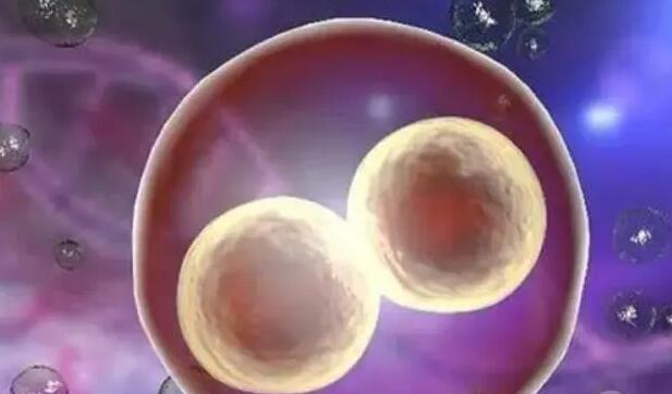 大連第三代試管 大連做試管嬰兒的費用 ‘四維彩超提示男女’