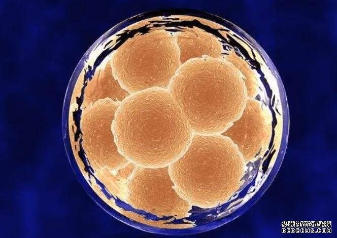 2023桂林捐卵試管醫(yī)院排名公布!附各大醫(yī)院卵源等待時(shí)間