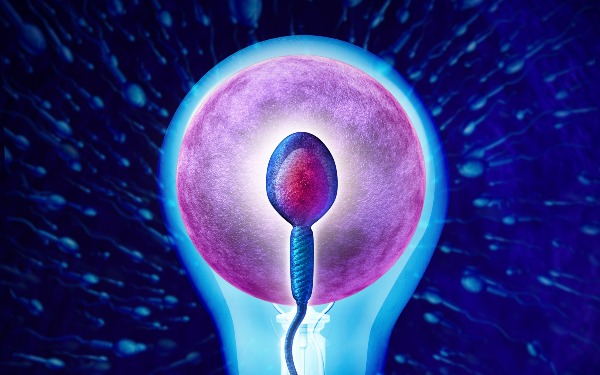 婁底中心醫院做試管成功率高嗎 2022婁底試管嬰兒醫院排行榜，試管助孕造娃勸你最好來看看 ‘如何從四個月的b超單上看男孩女孩’