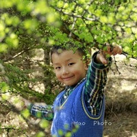 2022年河南農村生三胎補貼多少錢一個月 2022河南省私立助孕機構名單大全,附試管費用和成功率預估 ‘胎囊孕期特征說明你懷了男寶寶’