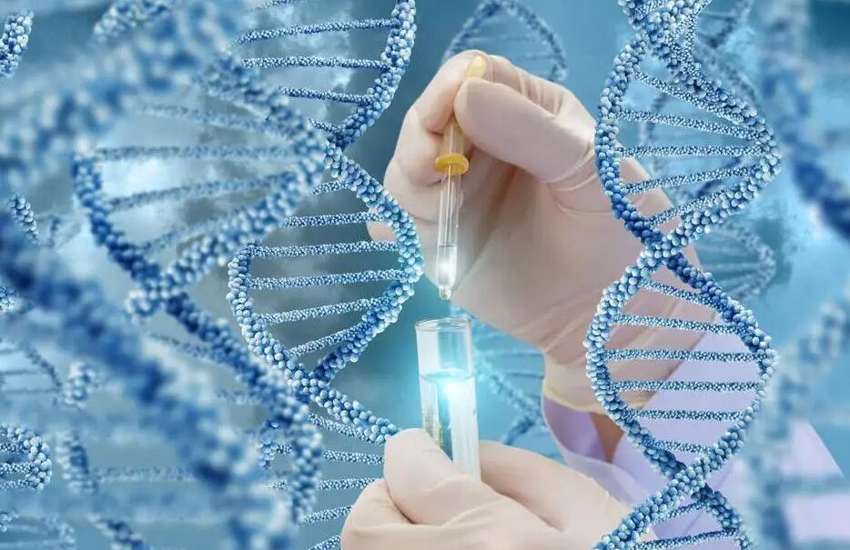 無錫供卵做試管 無錫試管嬰兒醫(yī)院簡(jiǎn)介 ‘b超如何測(cè)男女’