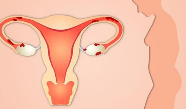 大連試管供卵 大連生殖中心試管嬰兒：怎樣才能做試管嬰兒成功？ ‘做四維看見寶寶有尿男孩女孩’