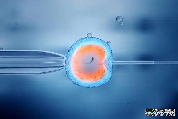 鄭州代生的流程 2022鄭州大學第三附屬醫院供卵試管費用清單 ‘孕囊34*27*19男孩女孩’