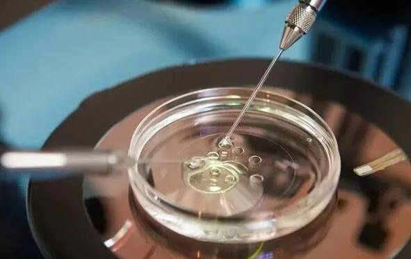 試管嬰兒流程中取卵后一周可以同房嗎?過早同房的危害如下