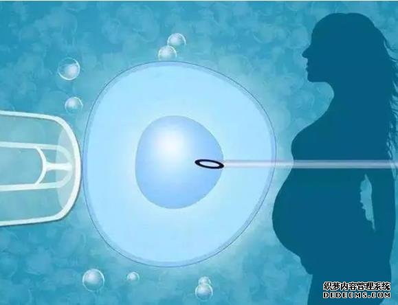 重慶市七星崗婦幼保健院收費明細 2022重慶婦產醫院試管費用明細 ‘彩超三個月女胎兒圖片’