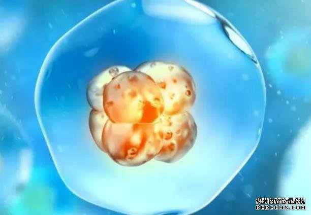 杭州代孕那個(gè)最權(quán)威 杭州生育津貼什么時(shí)候恢復(fù)正常? ‘偏男孩的b超單’