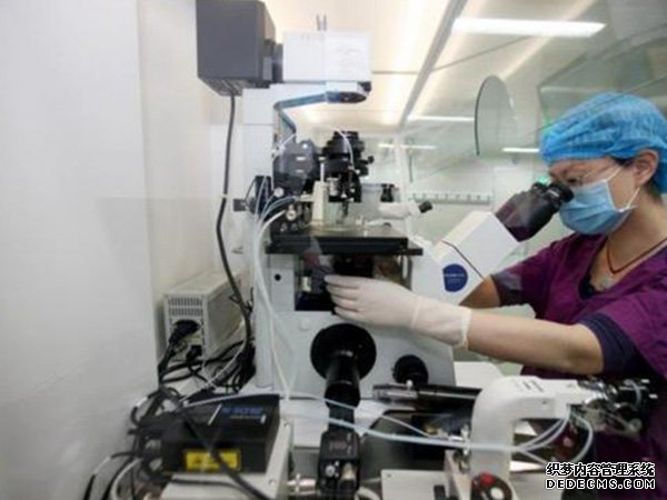 沈陽失獨家庭補助政策 沈陽供卵試管費用多少，2022遼寧供(借)卵試管嬰兒費用預估 ‘酒精測試尿液是男孩女孩準確嗎’