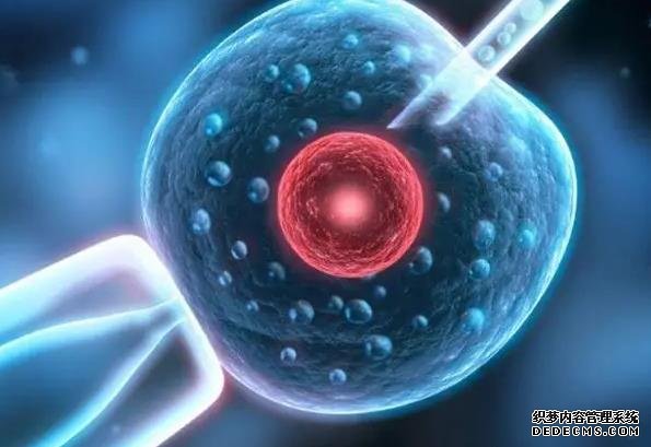 濰坊代懷 濰坊附屬生殖三代試管好不好?如何實現優生優育? ‘雙項頸減股骨長看男女’