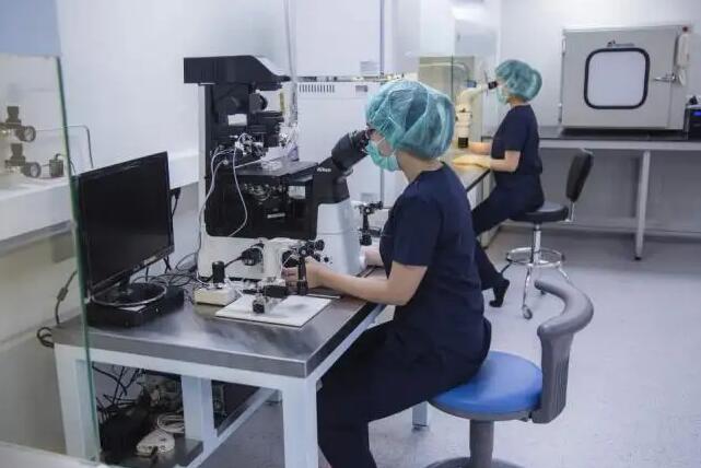 云南第三代試管成功率高嗎?,云南供卵試管可以包成功嗎