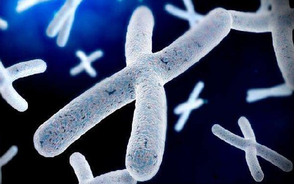 沈陽(yáng)試管供卵 沈陽(yáng)東方菁華醫(yī)院患者口碑 ‘b超圖像如何判斷男孩女孩’