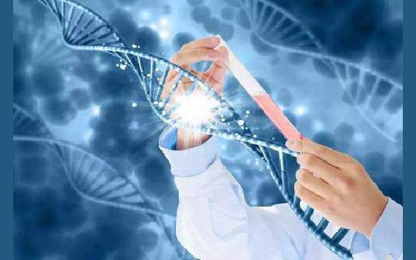 深圳做供卵試管 2023北京大學深圳醫院可以做第三代試管嬰兒生男孩嗎？ ‘晚期b超單能看男女嗎’